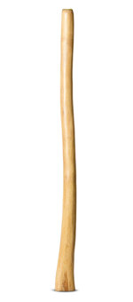Medium Size Natural Finish Didgeridoo (TW1699)